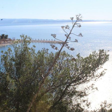 Paradise Apartment With Big Sunny Terrace In The Old Town, Few Meters From The Sea & Riva Promenade Split Exterior photo